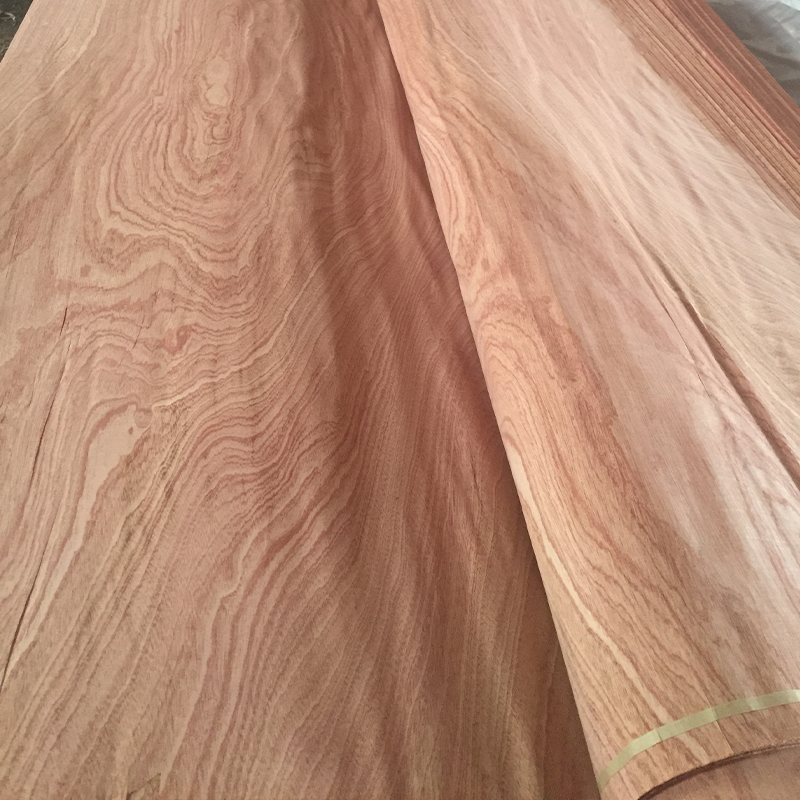 Sapele face veneer