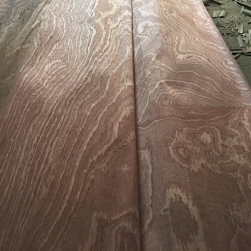 Sapele face veneer
